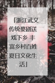 浙江武义传统婺剧送戏下乡 丰富乡村百姓夏日文化生活