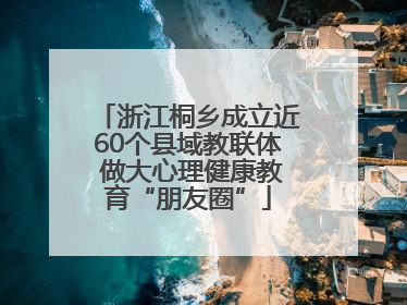 浙江桐乡成立近60个县域教联体 做大心理健康教育“朋友圈”