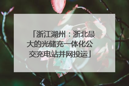 浙江湖州：浙北最大的光储充一体化公交充电站并网投运