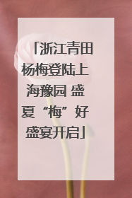 浙江青田杨梅登陆上海豫园 盛夏“梅”好盛宴开启