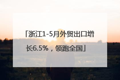 浙江1-5月外贸出口增长6.5%，领跑全国