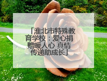 淮北市特殊教育学校：爱心捐赠暖人心 真情传递助成长