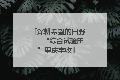 深耕希望的田野——“综合试验田”里庆丰收