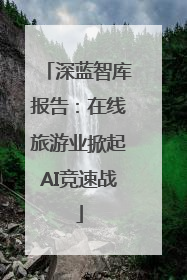 深蓝智库报告：在线旅游业掀起AI竞速战