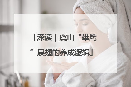 深读｜虞山“雄鹰”展翅的养成逻辑