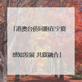 港澳台侨同胞在宁夏感知发展 共叙融合