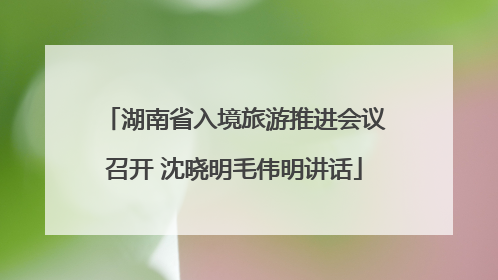 湖南省入境旅游推进会议召开 沈晓明毛伟明讲话