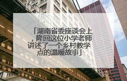 湖南省委座谈会上，隆回这位小学老师讲述了一个乡村教学点的温暖故事