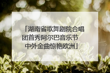 湖南省歌舞剧院合唱团首秀阿尔巴音乐节 中外金曲惊艳欧洲