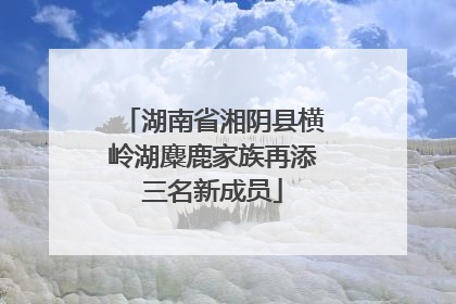 湖南省湘阴县横岭湖麋鹿家族再添三名新成员