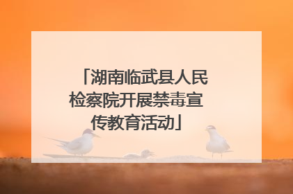 湖南临武县人民检察院开展禁毒宣传教育活动