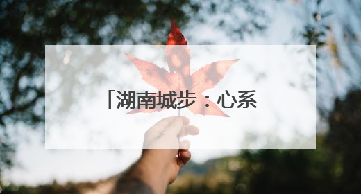 湖南城步：心系民生办实事 老区旧貌换新颜
