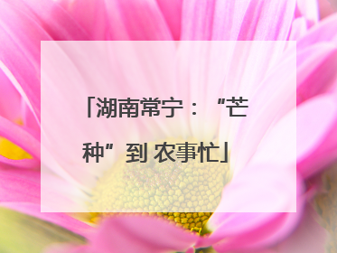 湖南常宁：“芒种”到 农事忙