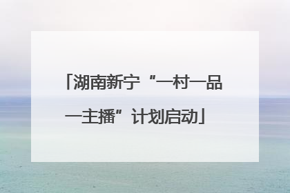 湖南新宁“一村一品一主播”计划启动