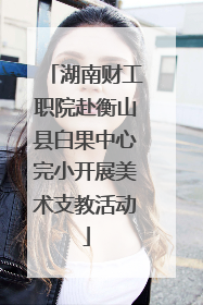 湖南财工职院赴衡山县白果中心完小开展美术支教活动
