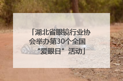 湖北省眼镜行业协会举办第30个全国“爱眼日”活动