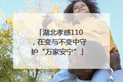 湖北孝感110，在变与不变中守护“万家安宁”