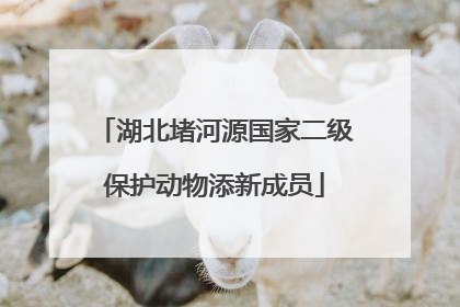 湖北堵河源国家二级保护动物添新成员