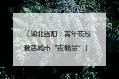 湖北当阳：青年夜校激活城市“夜能量”