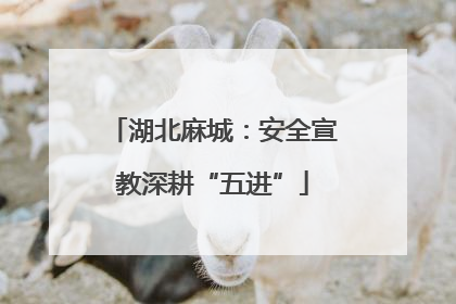 湖北麻城：安全宣教深耕“五进”