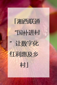 湘西联通“国补进村”让数字化红利惠及乡村