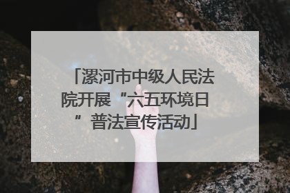 漯河市中级人民法院开展“六五环境日”普法宣传活动