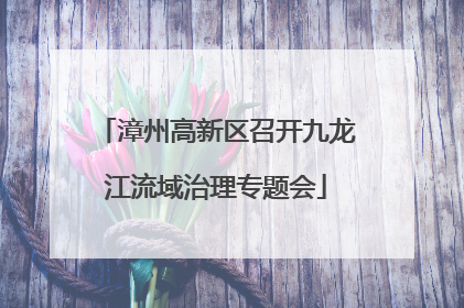 漳州高新区召开九龙江流域治理专题会