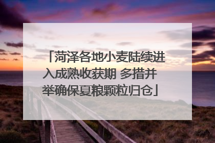 菏泽各地小麦陆续进入成熟收获期 多措并举确保夏粮颗粒归仓