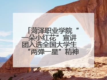 菏泽职业学院“一朵小红花”宣讲团入选全国大学生“两弹一星”精神宣讲团