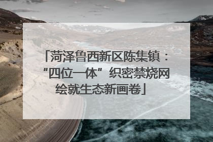 菏泽鲁西新区陈集镇：“四位一体”织密禁烧网 绘就生态新画卷