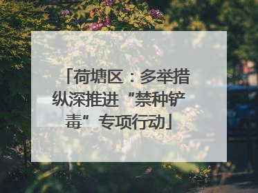 荷塘区：多举措纵深推进“禁种铲毒”专项行动