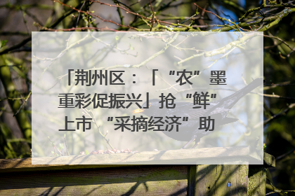 荆州区：「“农”墨重彩促振兴」抢“鲜”上市 “采摘经济”助农“甜蜜增收”
