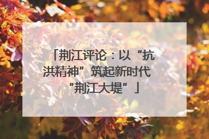 荆江评论：以“抗洪精神”筑起新时代“荆江大堤”