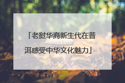 老挝华裔新生代在普洱感受中华文化魅力
