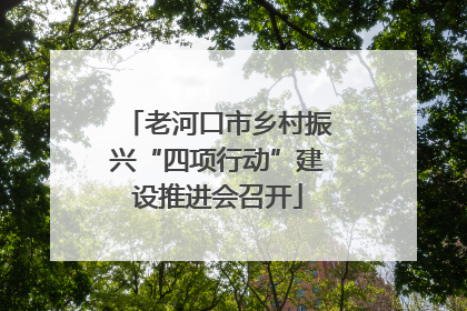 老河口市乡村振兴“四项行动”建设推进会召开