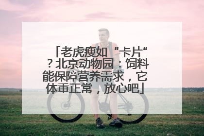 老虎瘦如“卡片”？北京动物园：饲料能保障营养需求，它体重正常，放心吧