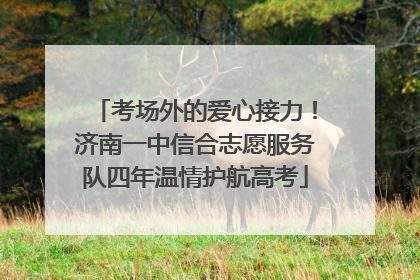 考场外的爱心接力！济南一中信合志愿服务队四年温情护航高考