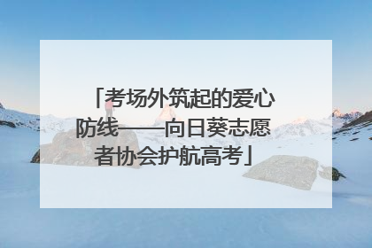 考场外筑起的爱心防线——向日葵志愿者协会护航高考