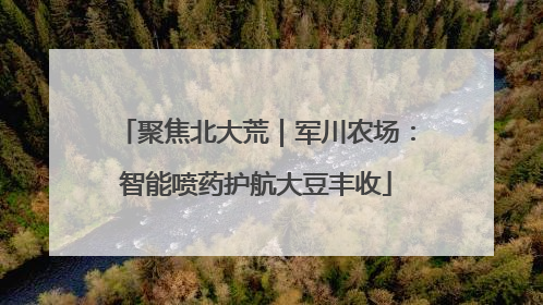 聚焦北大荒｜军川农场：智能喷药护航大豆丰收