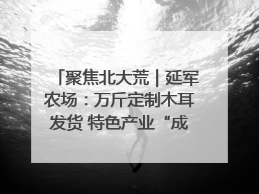 聚焦北大荒｜延军农场：万斤定制木耳发货 特色产业“成绩单”亮眼