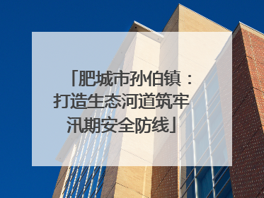肥城市孙伯镇：打造生态河道筑牢汛期安全防线