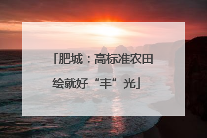 肥城：高标准农田绘就好“丰”光