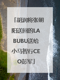 胡润将张朝阳送回的LABUBU送给小马智行CEO彭军