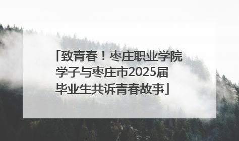 致青春！枣庄职业学院学子与枣庄市2025届毕业生共诉青春故事