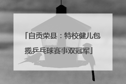 自贡荣县：特校健儿包揽乒乓球赛事双冠军