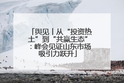 舆见丨从“投资热土”到“共赢生态”：峰会见证山东市场吸引力跃升