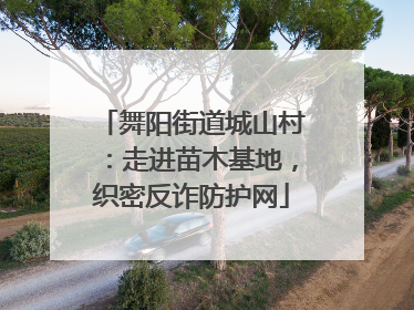 舞阳街道城山村：走进苗木基地，织密反诈防护网