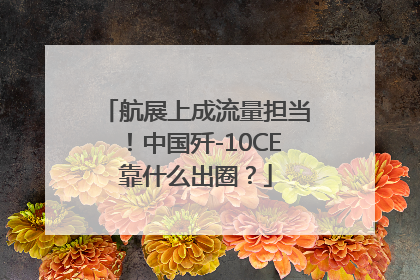 航展上成流量担当！中国歼-10CE靠什么出圈？