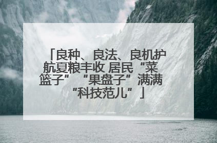 良种、良法、良机护航夏粮丰收 居民“菜篮子”“果盘子”满满“科技范儿”