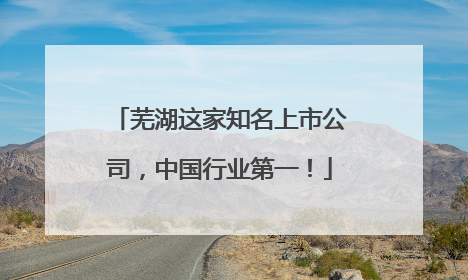 芜湖这家知名上市公司，中国行业第一！